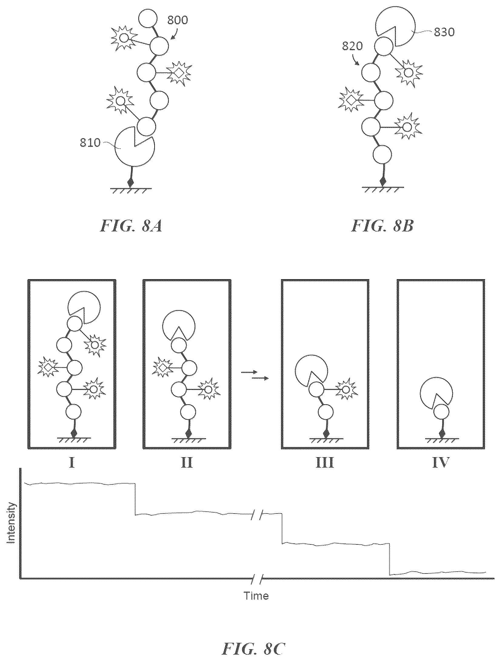 Patent US12618845 Figure 12 – Methods and compositions for protein sequencing