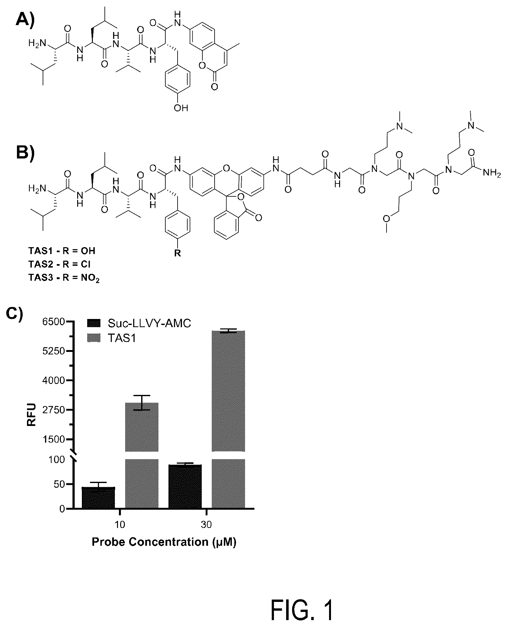 Patent US12618847 — Activity-based probes with unnatural amino acids to monitor proteasome activity — Figure 1