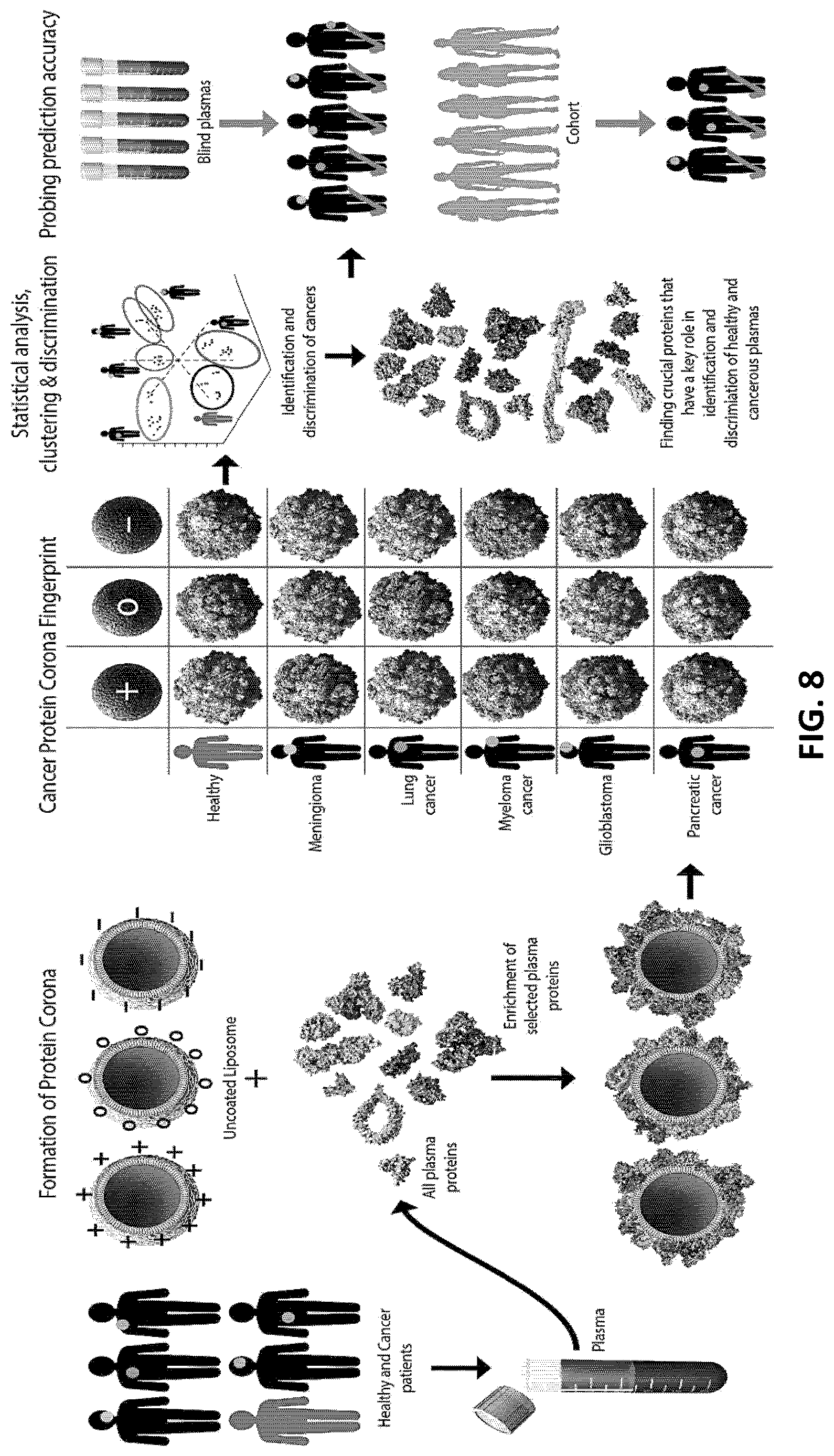 Patent US12618851 Figure 8 – Systems and methods for sample preparation, data generation, and protein corona analysis