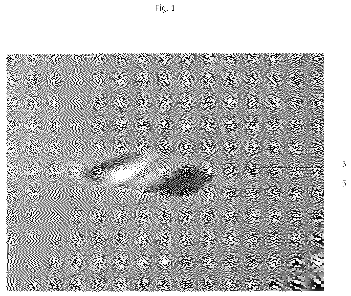 Patent US12619089 — Rainbow projector and method for producing rainbow light — Figure 1