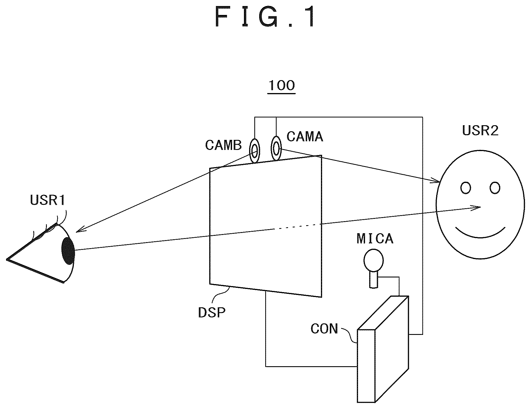 Patent US12619318 — Display device — Figure 1