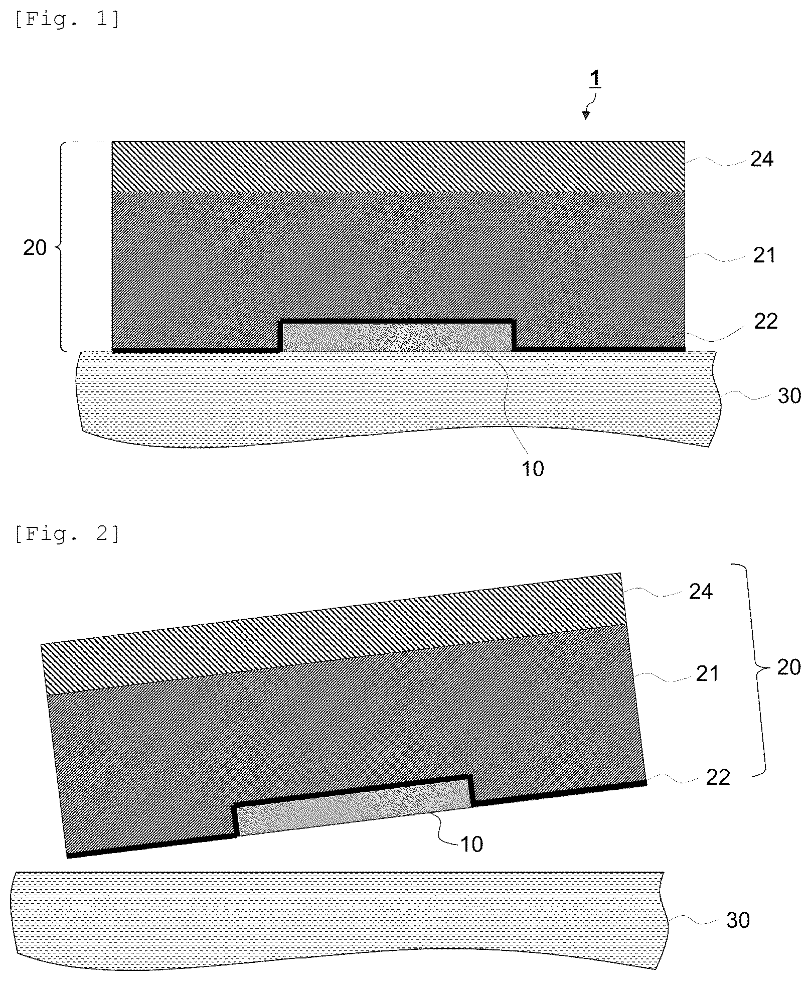 Patent US12619851 — Labeled molded body — Figure 1