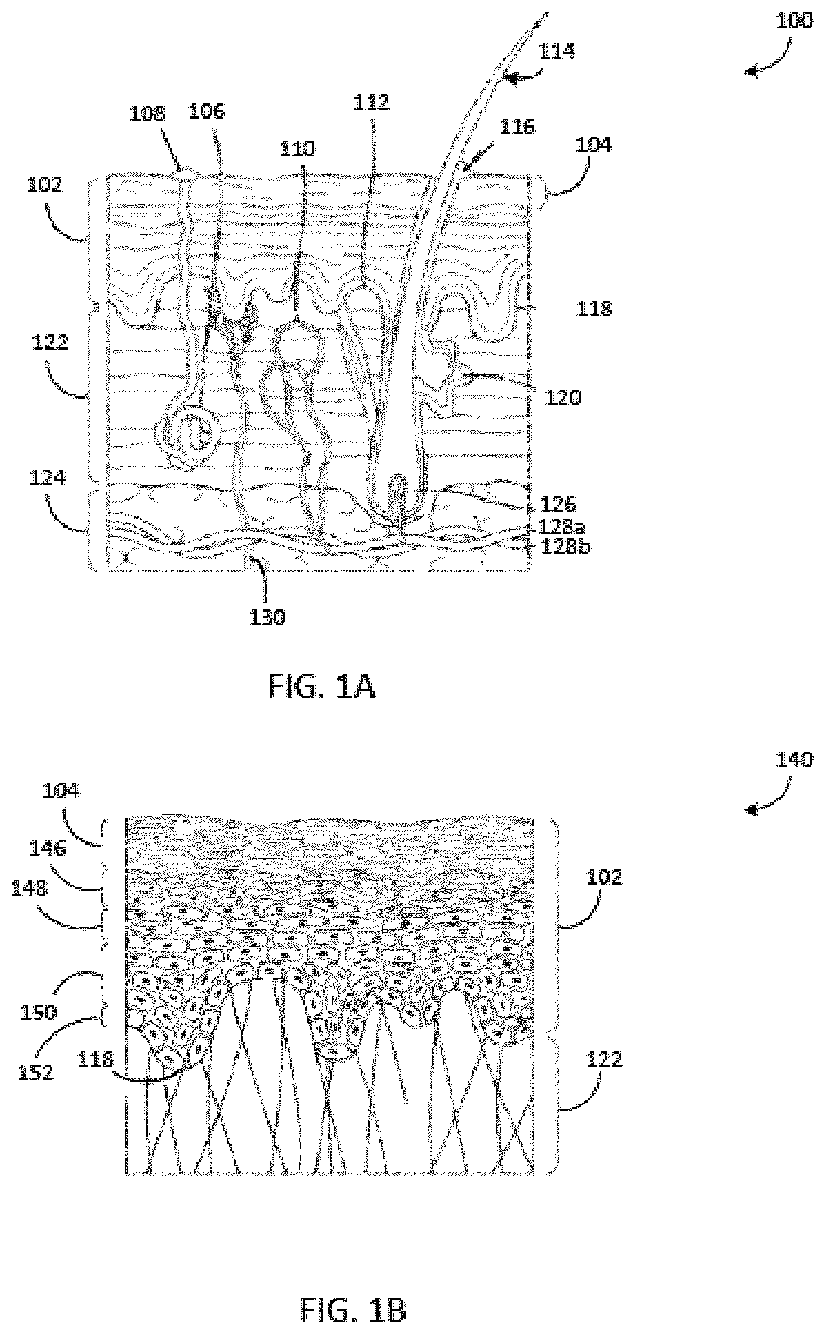 Patent US12620065 Figure 1 – Systems and methods for automatic cell identification using images of human epithelial tissue structure