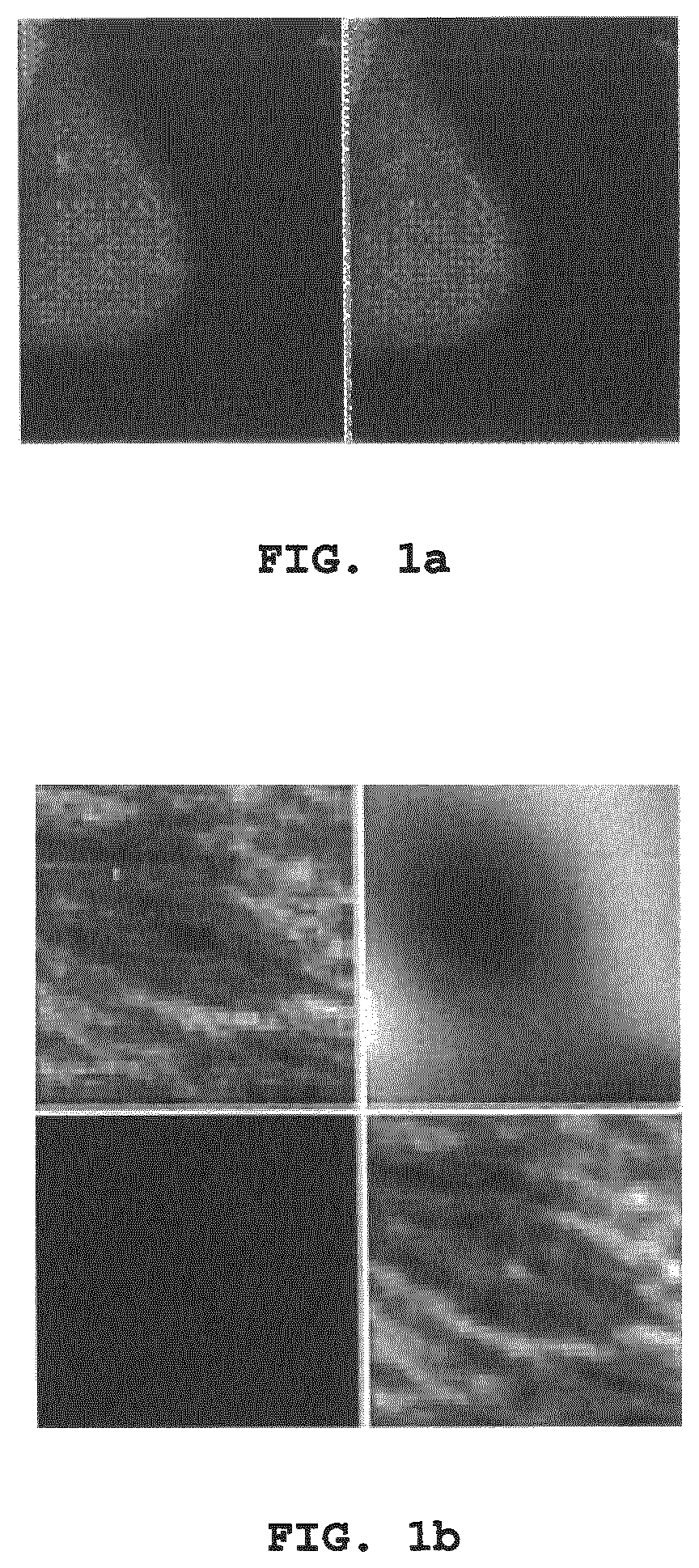 Patent US12620086 — Domain aware medical image classifier interpretation by counterfactual impact analysis — Figure 1