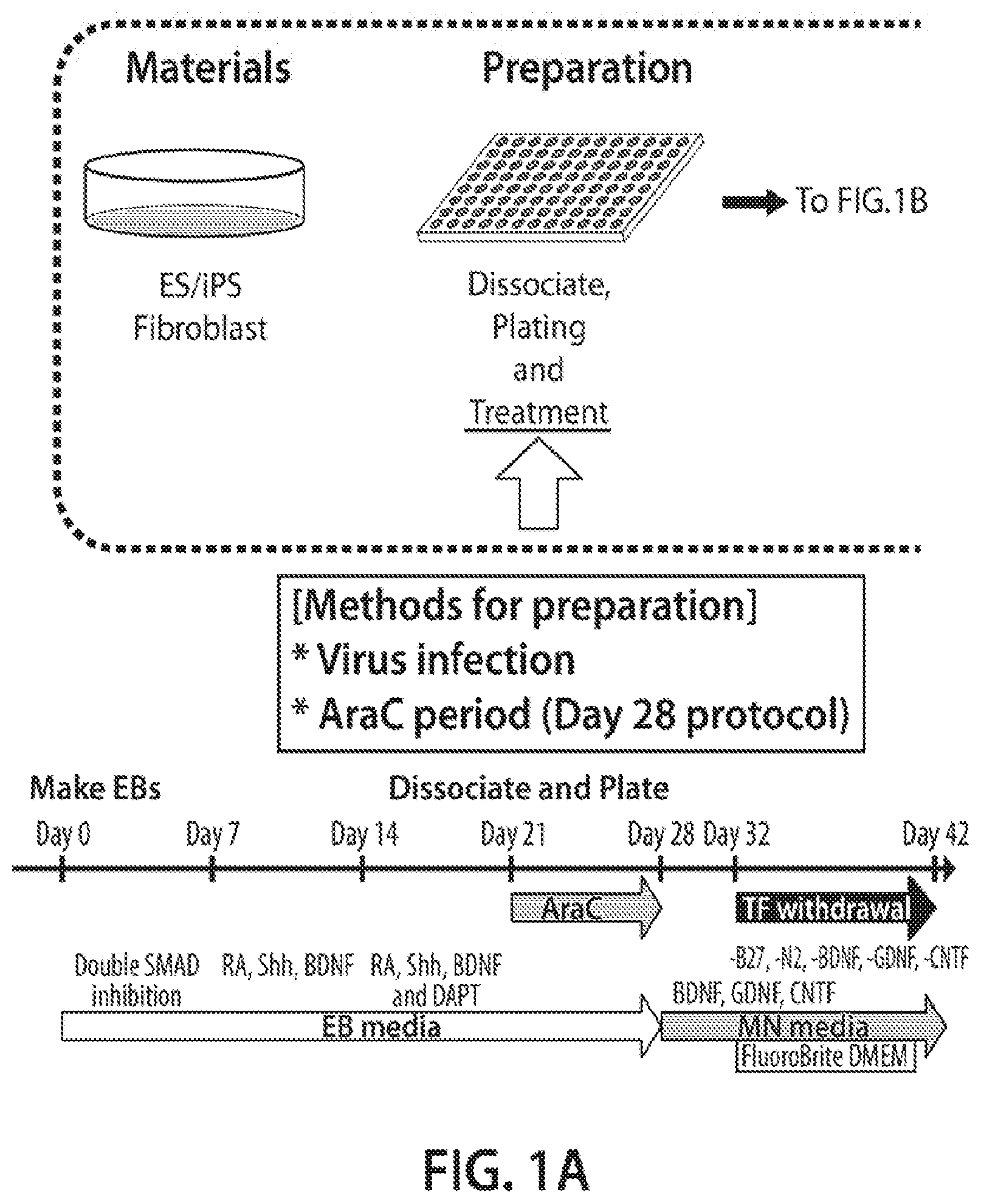 Patent US12620244 — Methods and devices for live cell imaging analysis — Figure 1