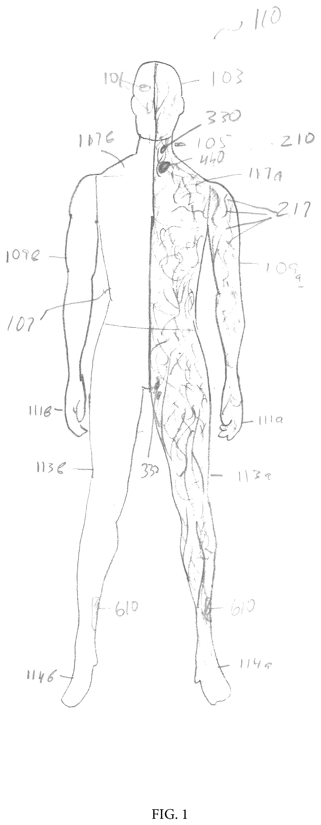 Patent US12620325 Figure 1 – Lymphatic system simulator