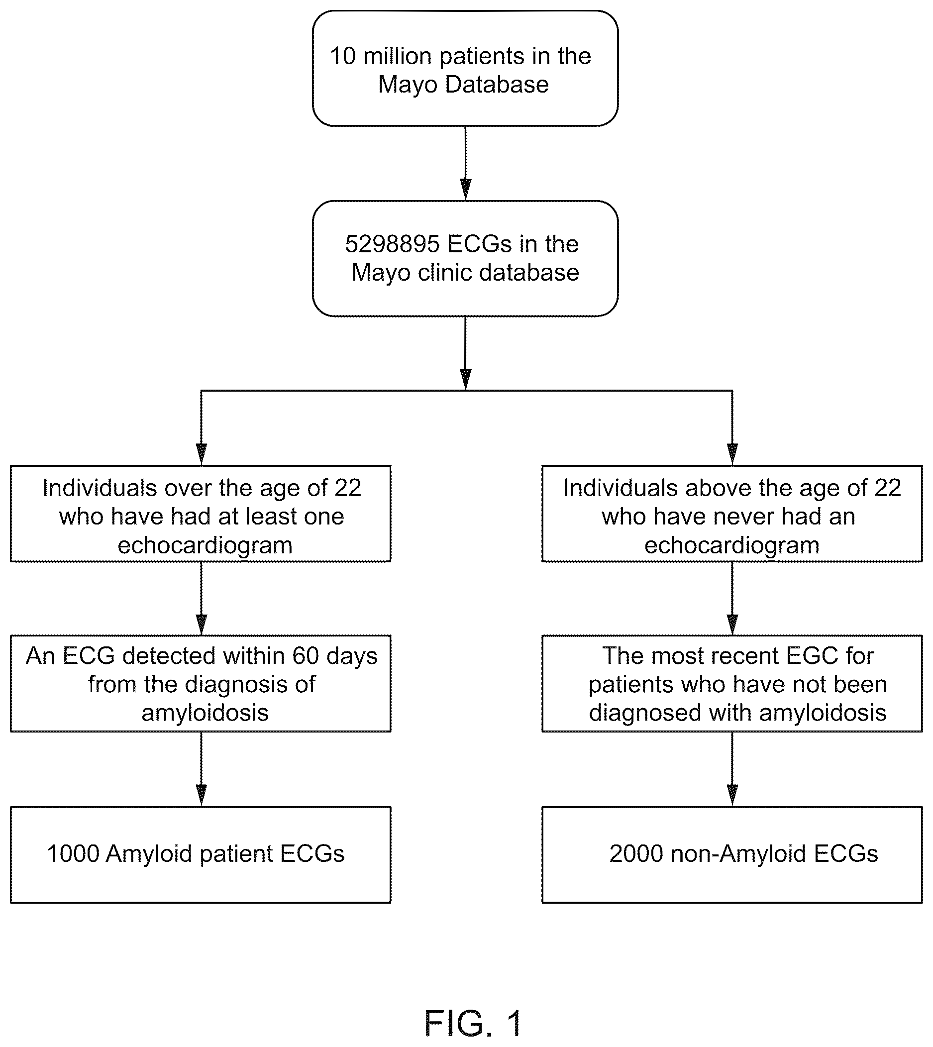 Patent US12620488 — Machine learning algorithm for the detection of cardiac amyloidosis from 12 lead ECG data — Figure 1