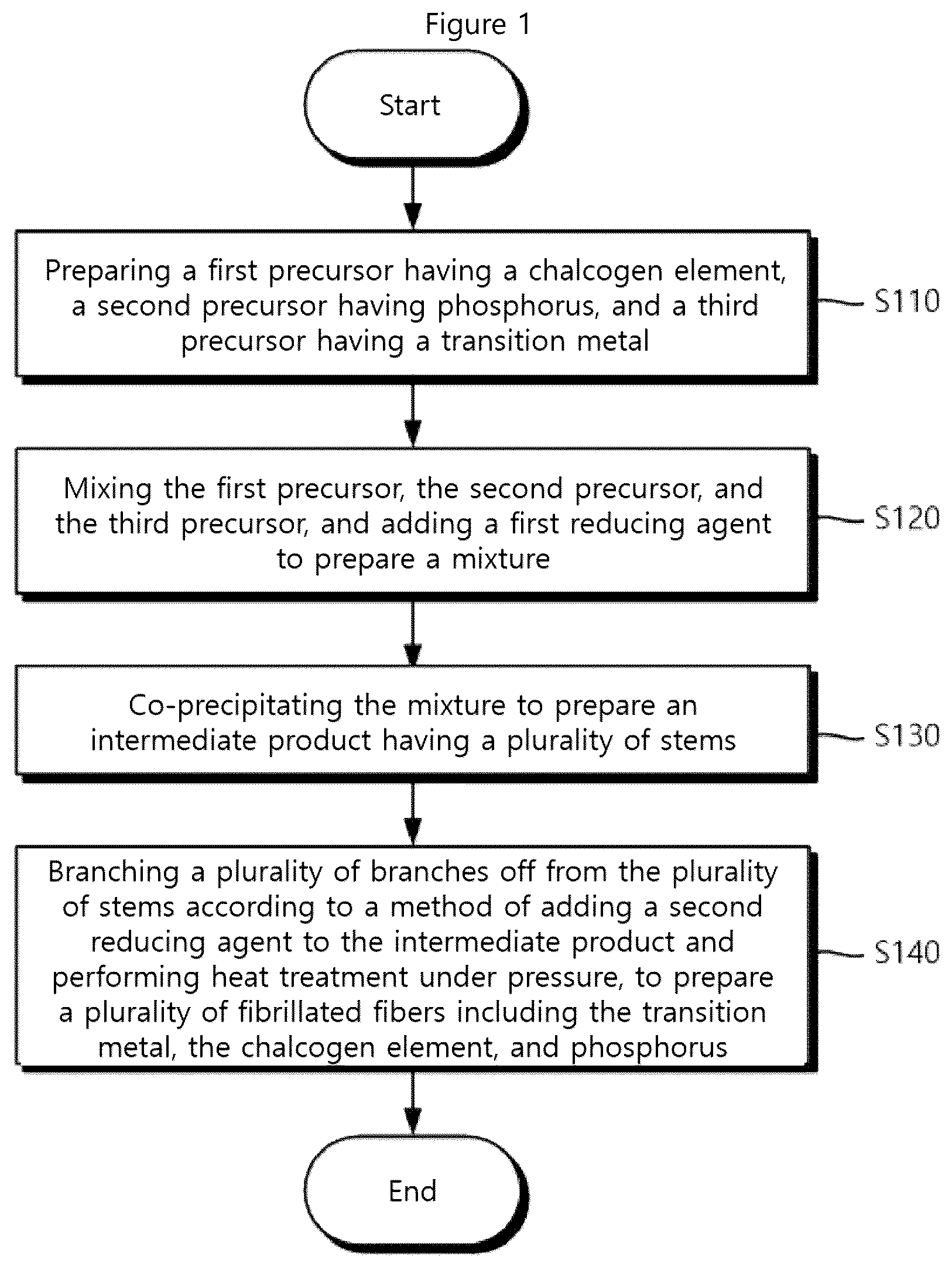 Patent US12620652 — Electrode structure, electrode structure for positive electrode of metal-air battery comprising same, and methods for manufacturing same — Figure 1