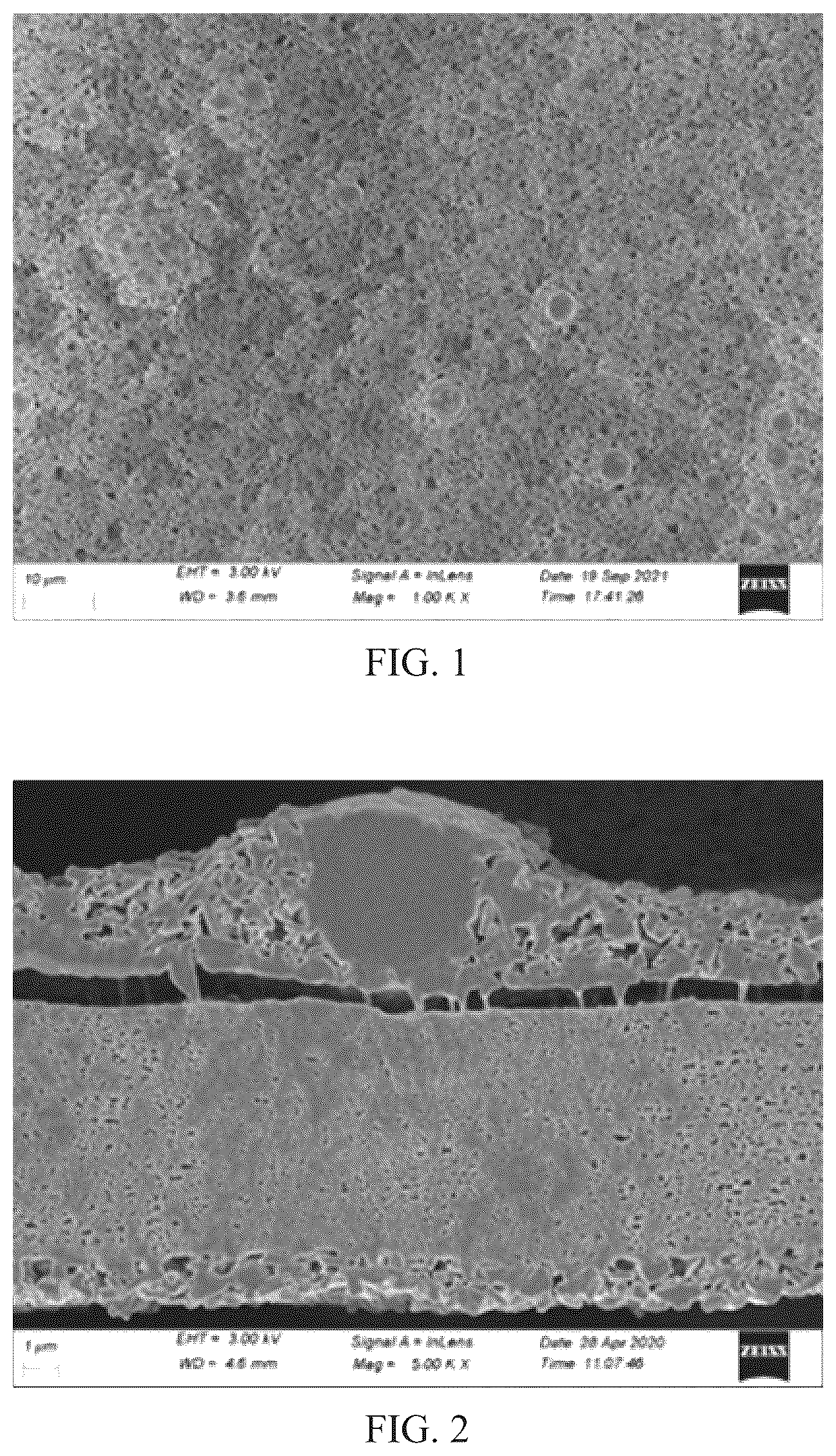 Patent US12620674 — Separator, and secondary battery, battery module, battery pack, and apparatus including the same — Figure 1