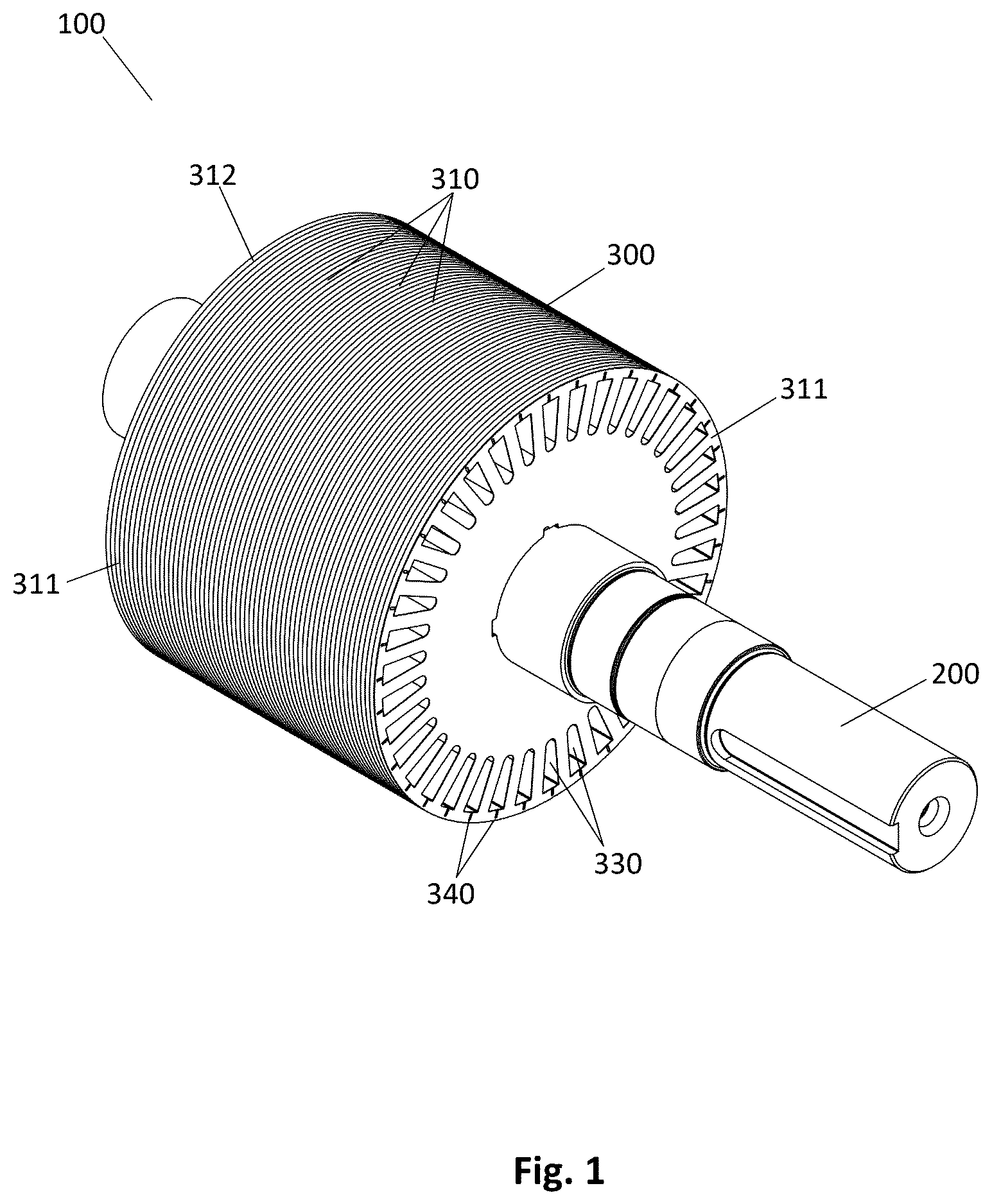 Patent US12620852 — Rotor for rotary electric machine, manufacturing method and corresponding rotary electric machines — Figure 1