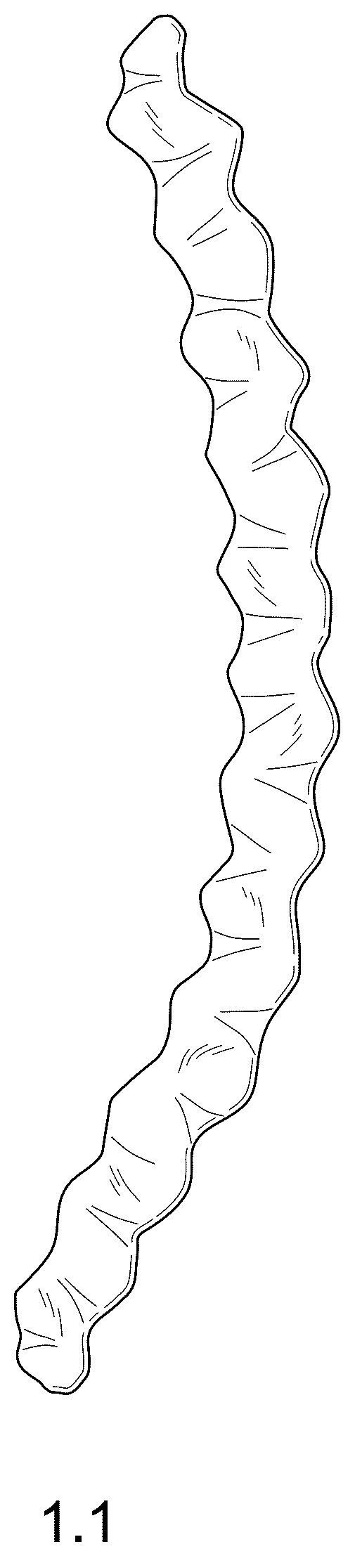 Patent USD1123299 Figure 1 – Potato