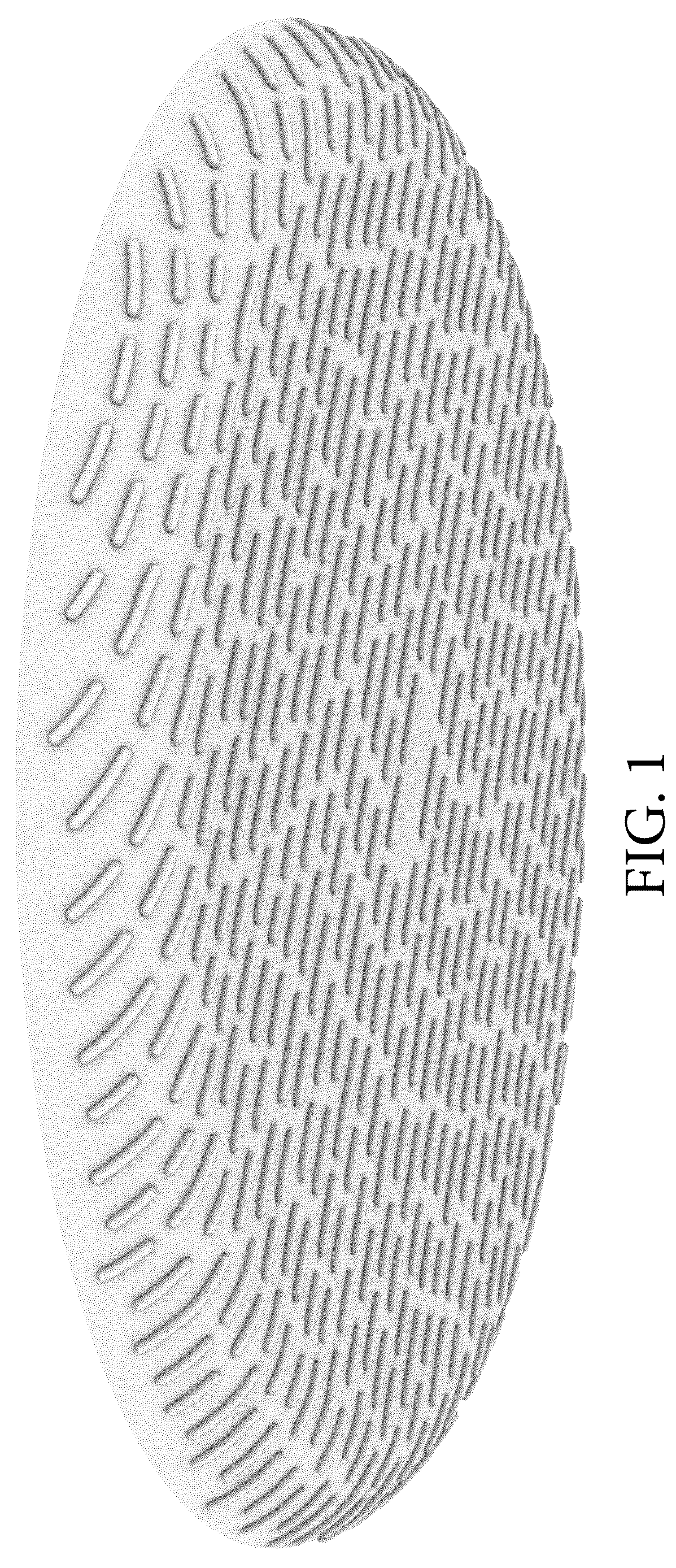 Patent USD1123528 Figure 1 – Plate