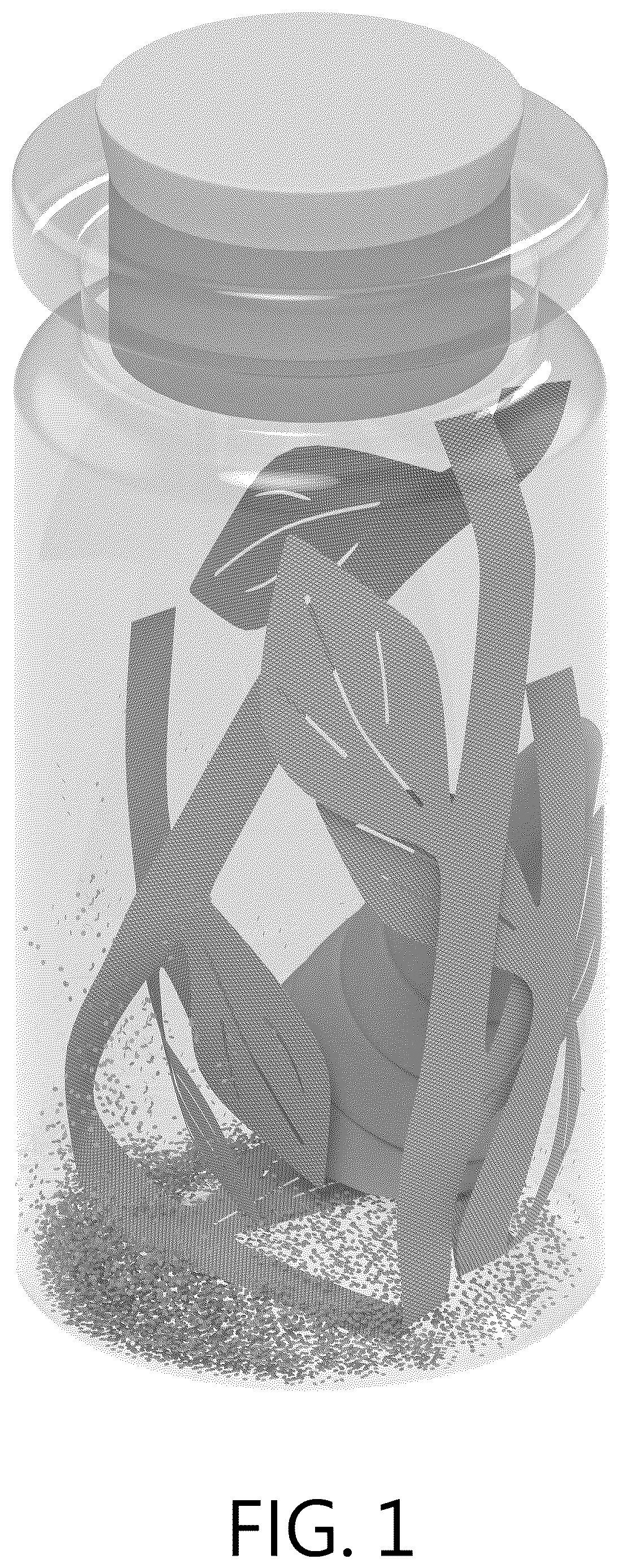 Patent USD1123633 Figure 1 – Bottle
