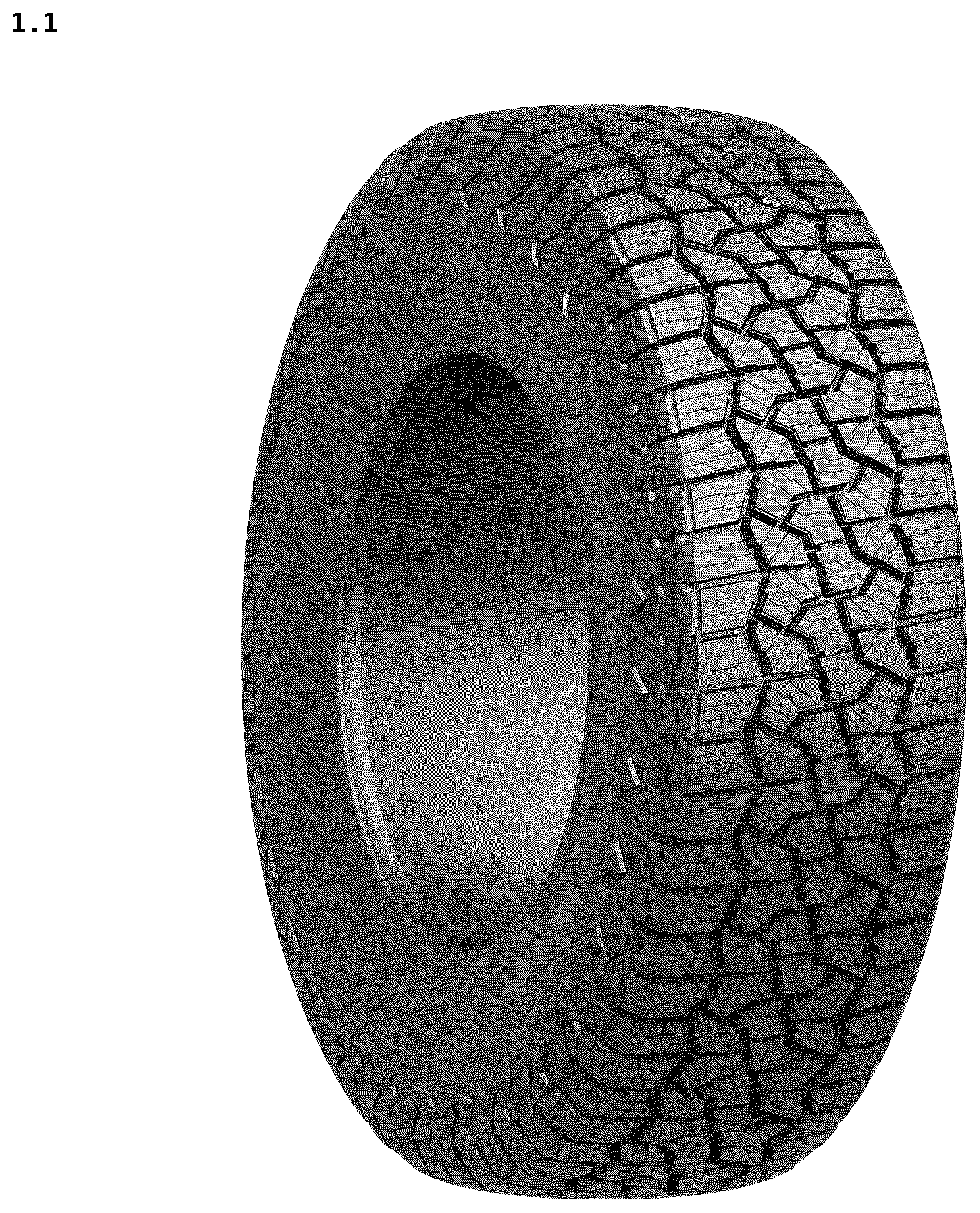 Patent USD1123807 — Tire — Figure 1