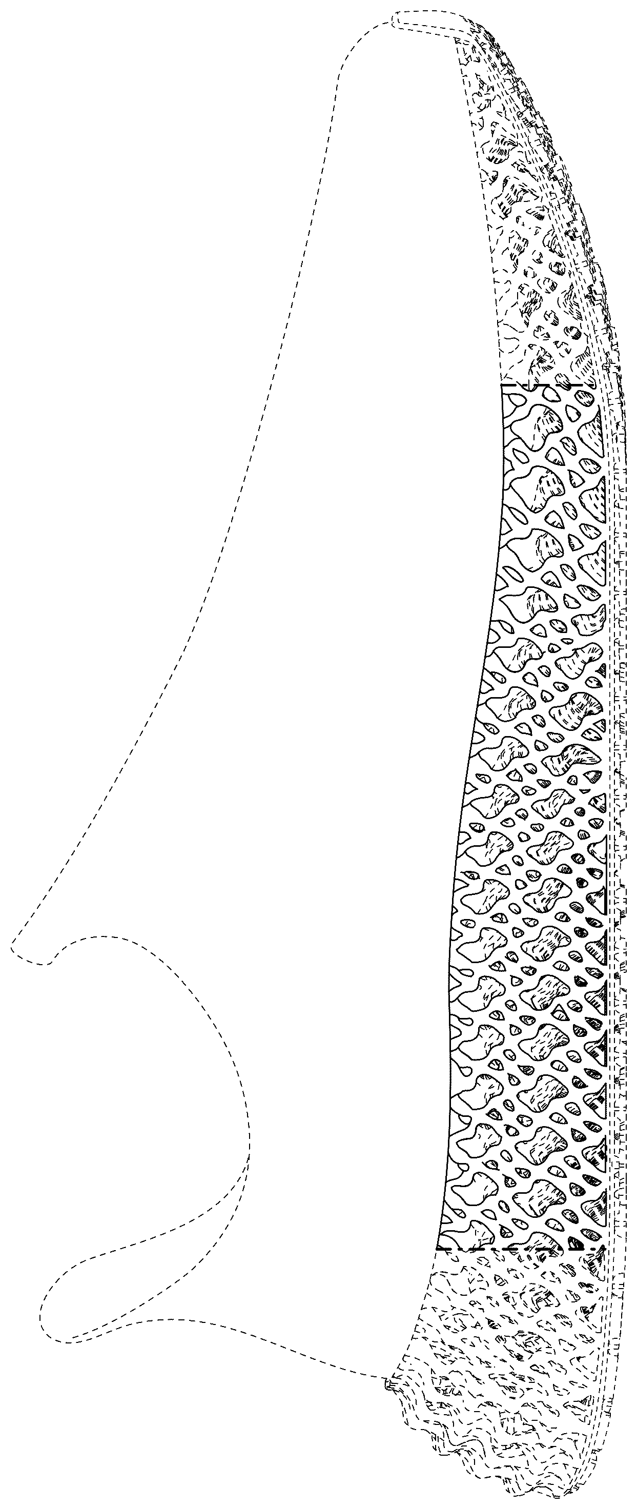 Patent USD1124612 Figure 1 – Shoe