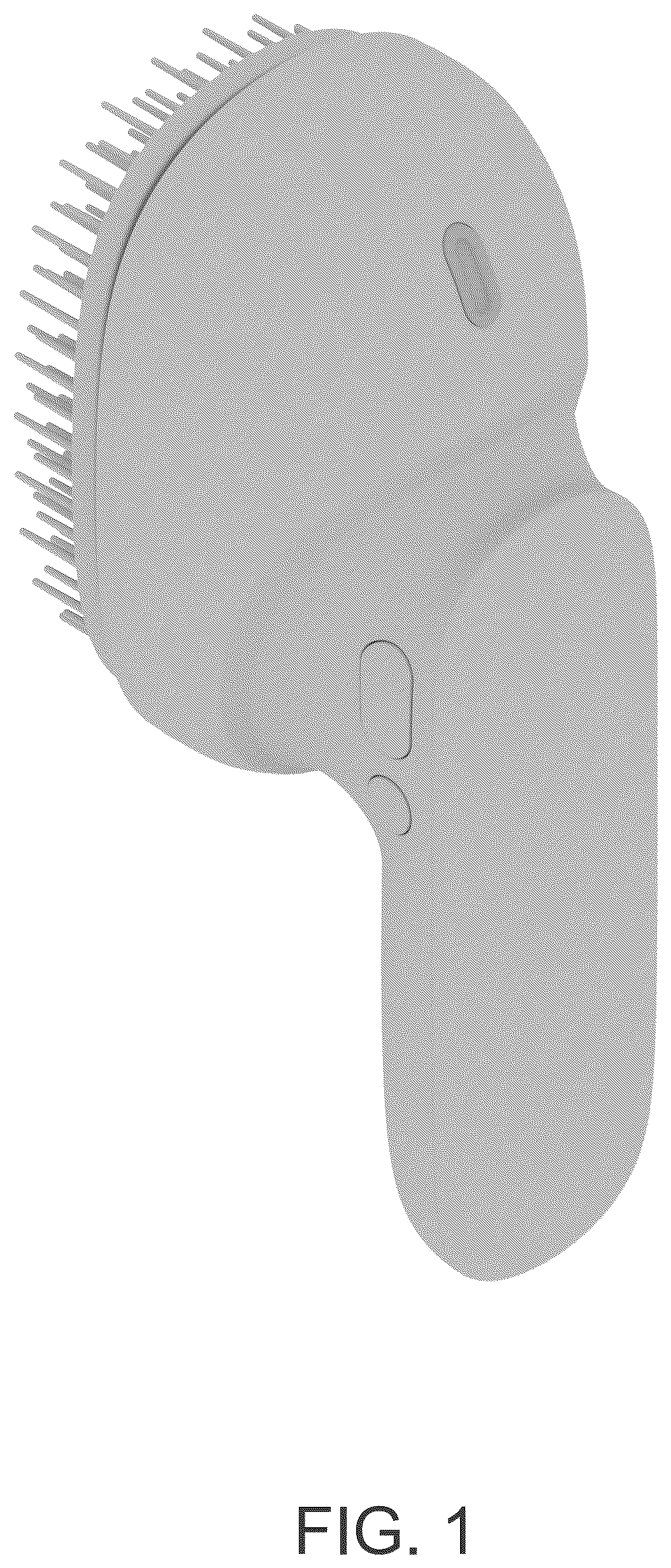 Patent USD1124664 Figure 1 – Massage comb