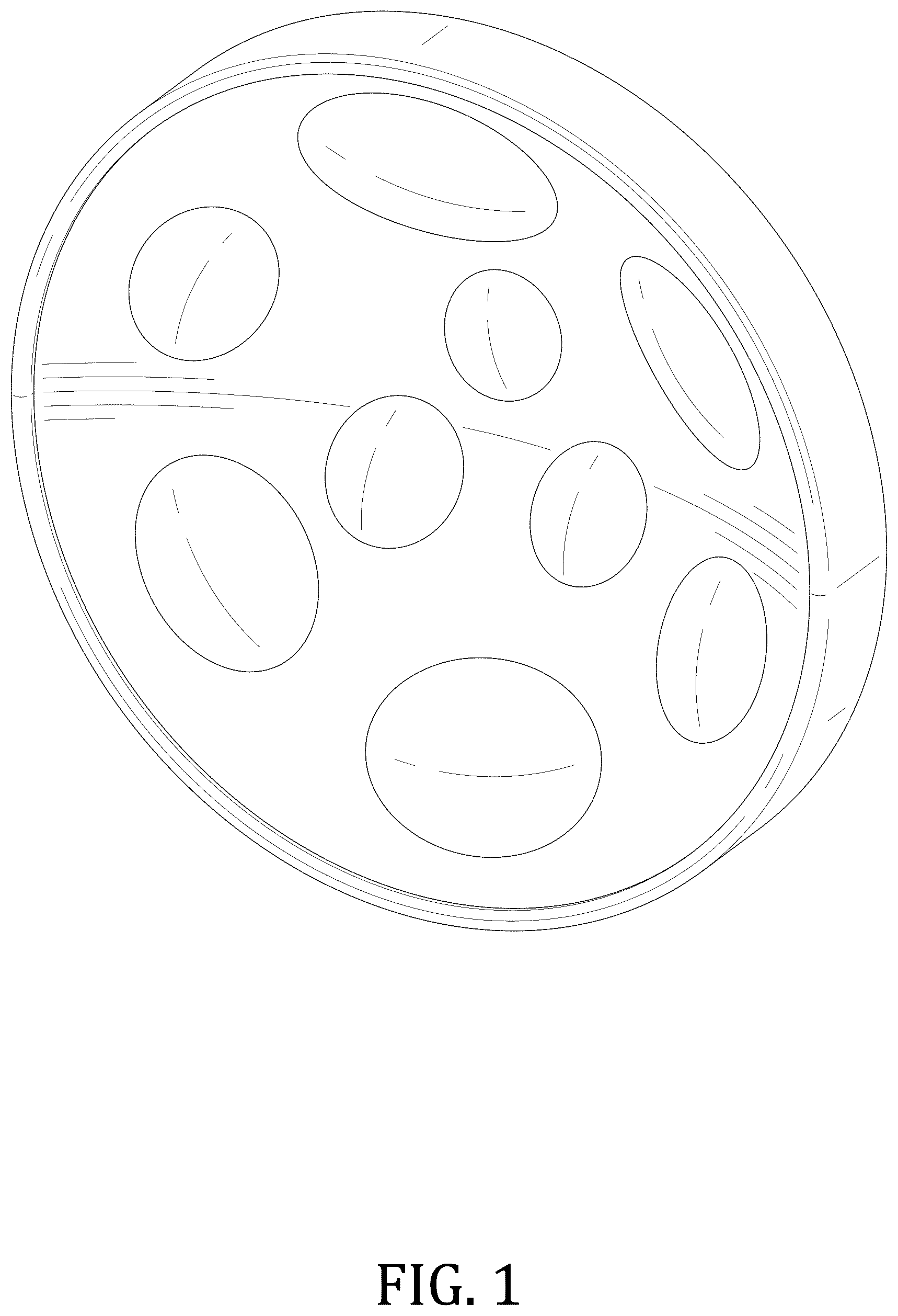 Patent USD1125353 — Nine-note steel drum — Figure 1