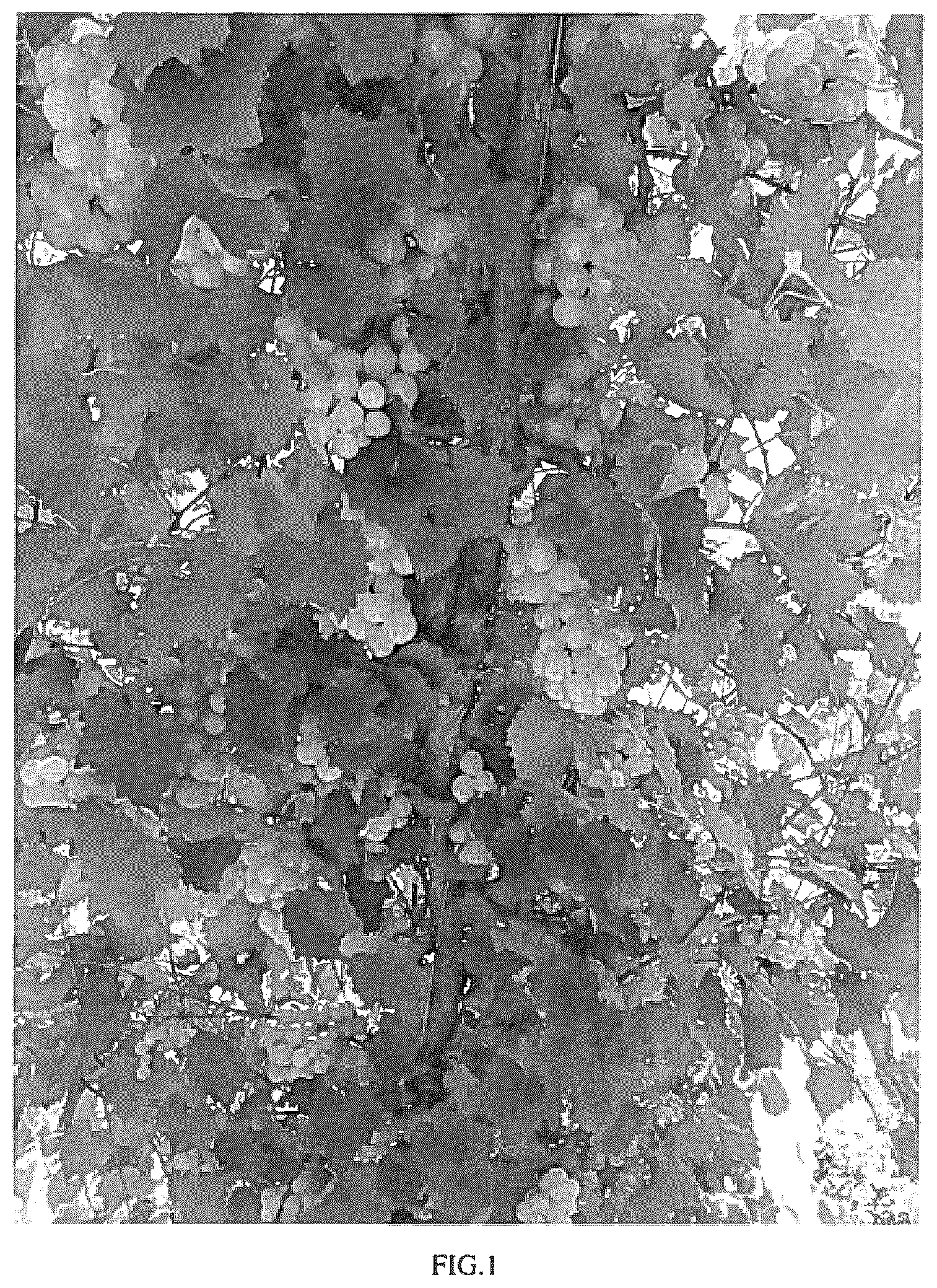 Patent USPP037281 — Grapevine plant named ‘JB 12-24-E4-12’ — Figure 1