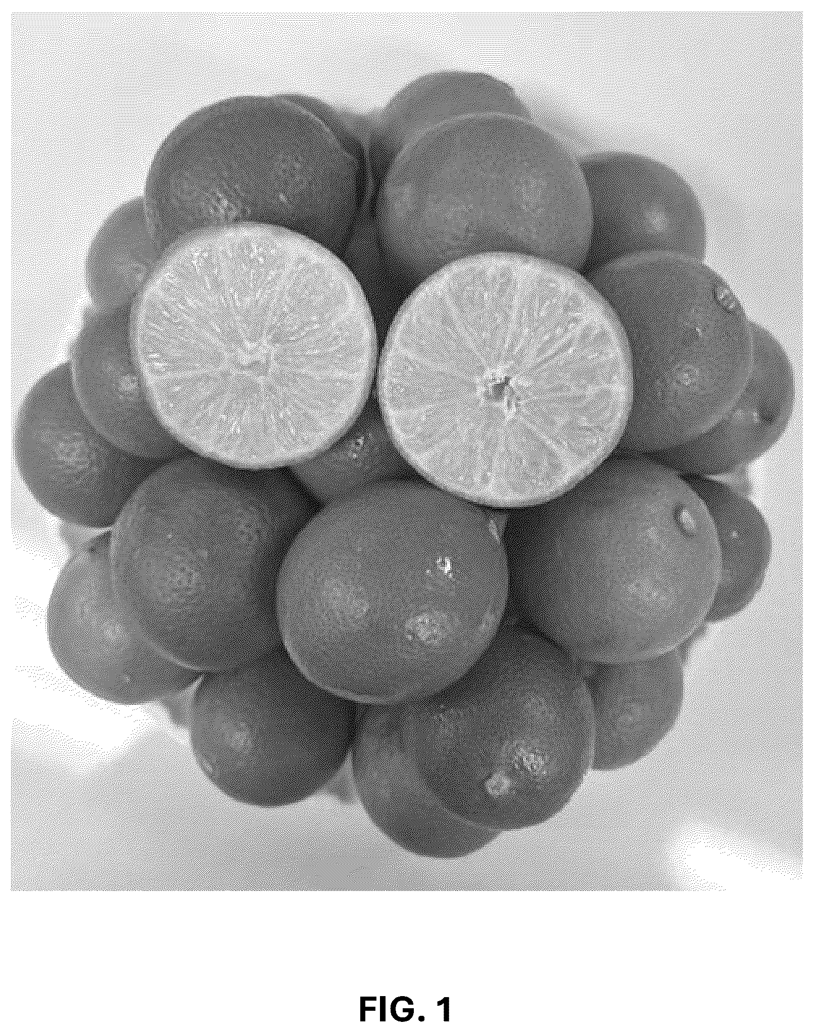 Patent USPP037293 Figure 1 – Hybrid lime plant named ‘C4-5-14’